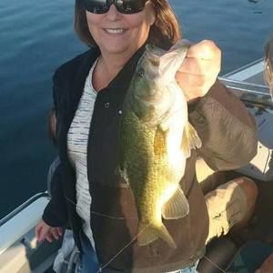 Meet your Posher, Terry